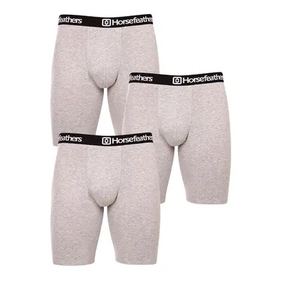 3PACK Férfi boxeralsó Horsefeathers Dynasty long (AM195C)