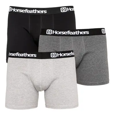 3PACK többszínű Horsefeathers férfi boxeralsó (AM067D)