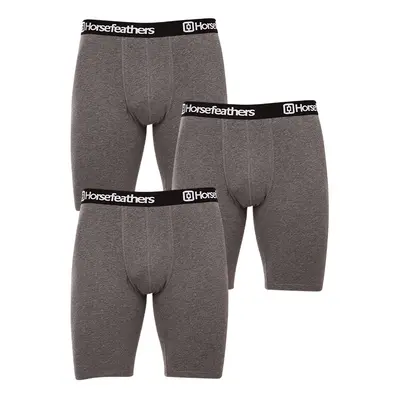 3PACK Férfi boxeralsó Horsefeathers Dynasty long (AM195B)