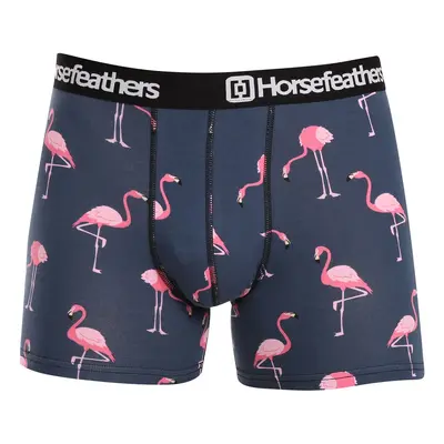 Férfi boxeralsó Horsefeathers Sidney Flamingó (AM164M)