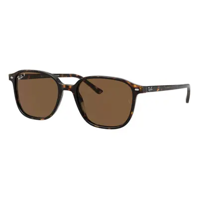 Ray-Ban Leonard RB2193 902/57