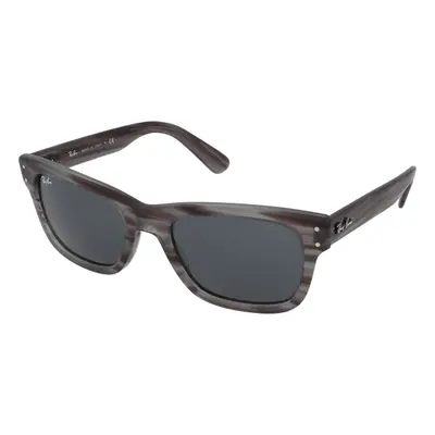 Ray-Ban Mr Burbank RB2283 1314R5