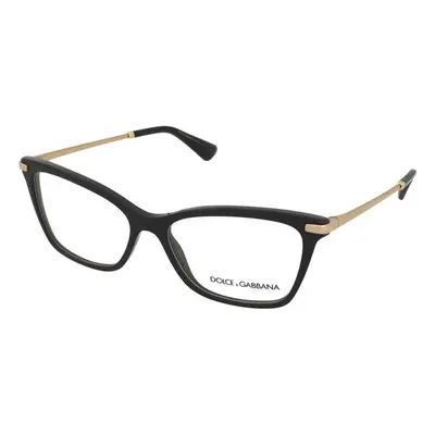 Dolce & Gabbana DG3393 501