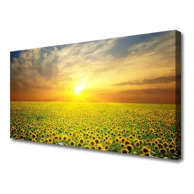 Vászonkép falra Sun Meadow Napraforgók 125x50 cm