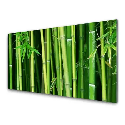 Modern üvegkép Bamboo Bamboo Forest Nature 100x50 cm 4 fogas