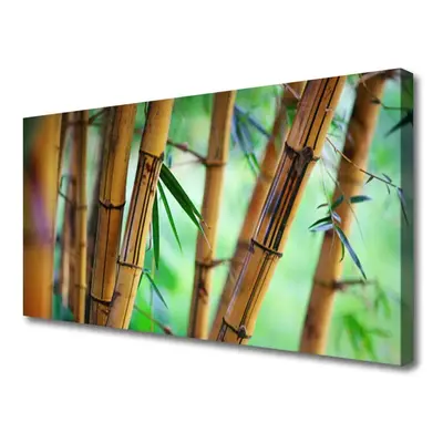 Canvas kép Nature bambusz növény 140x70 cm