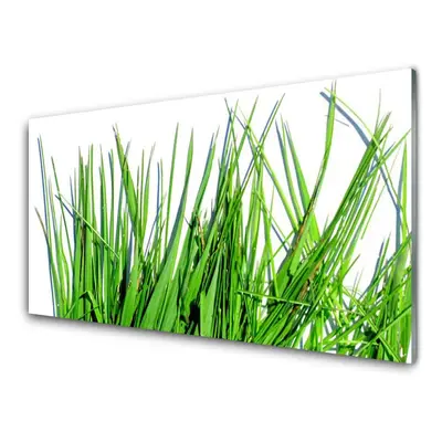 Üvegfotó Grass A Wall 120x60cm 4 fogas