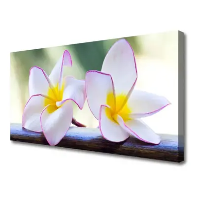 Canvas kép Plumeria virág szirmai 140x70 cm