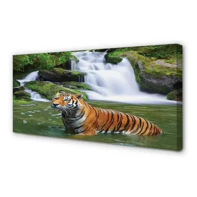 Canvas képek tigris vízesés 125x50 cm