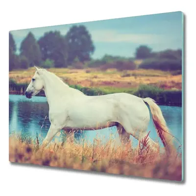 Üveg vágódeszka White Horse-tó 60x52 cm