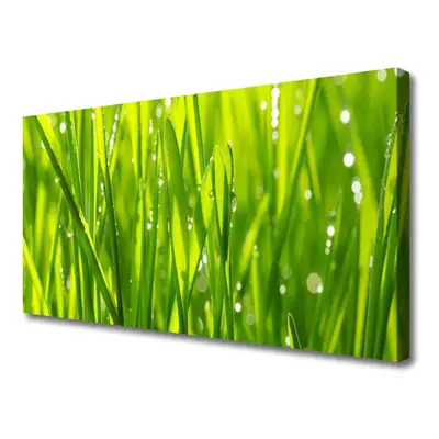 Vászonkép Grass Nature Plant 100x50 cm