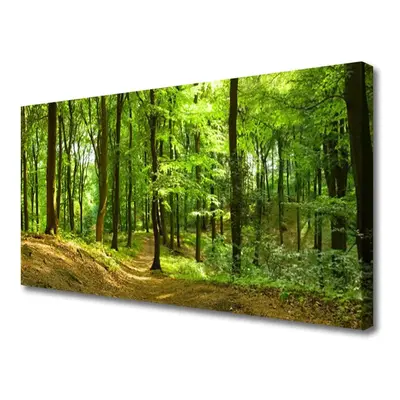 Vászonkép falra Forest Path Természet 120x60 cm