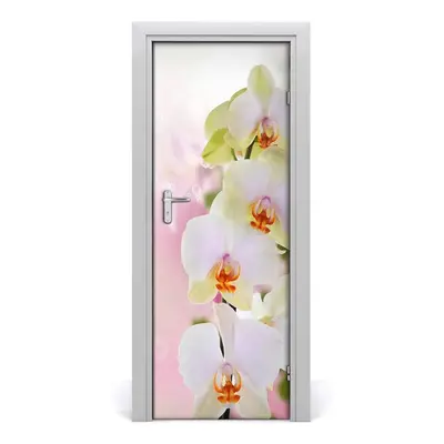 Ajtóposzter fehér orchidea 75x205 cm