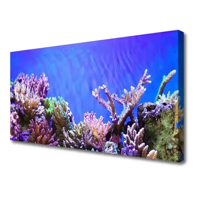 Vászonkép Barrier Reef Nature 125x50 cm