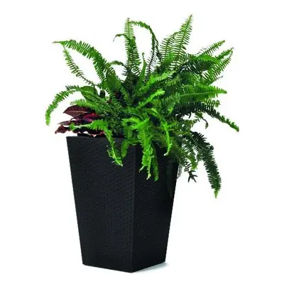 Rattan planter S