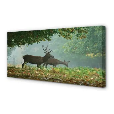 Canvas képek Deer őszi erdő 125x50 cm