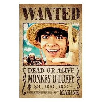 Plakát One Piece - Wanted Monkey D. Luffy