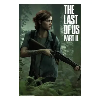 Plakát The Last of Us 2 - Ellie