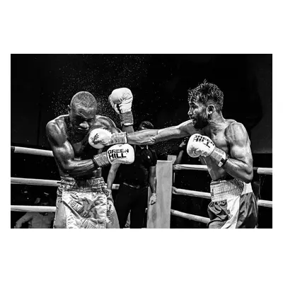 Fotográfia Boxing, Reza Mohammadi