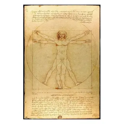 Plakát Vitruviusz-férfi, Leonardo Da Vinci