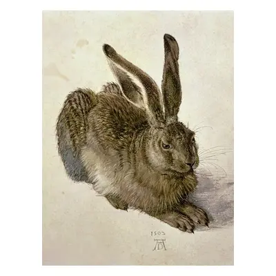 Reprodukció Hare (1502)