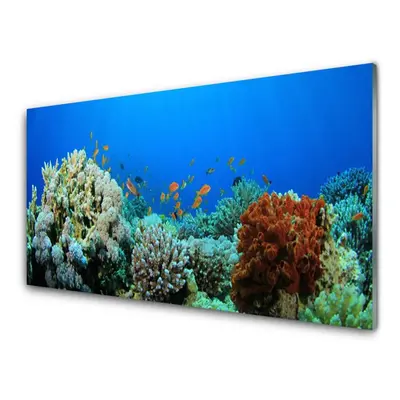 Akril üveg kép Barrier Reef Nature 140x70 cm 2 fogas