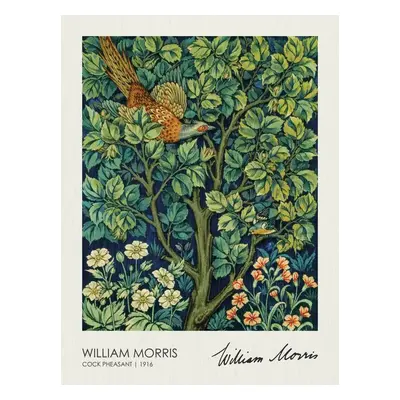 Reprodukció The Pheasant (1916), William Morris