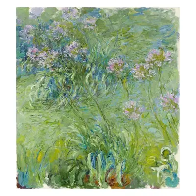 Reprodukció Agapanthus (1914–26), Claude Monet