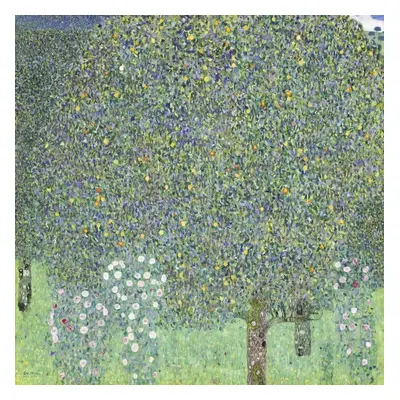 Reprodukció Roses under the Trees (1905), Gustav Klimt