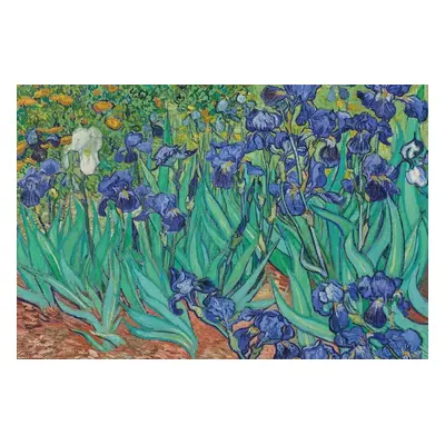 Plakát Vincent van Gogh - Les Irises