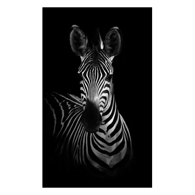 Fotográfia The Zebra, WildPhotoArt