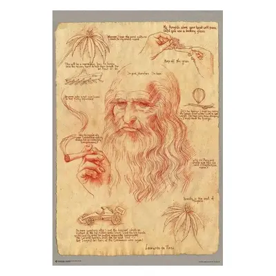 Plakát Leonardo Smoking Pot, Leonardo Da Vinci