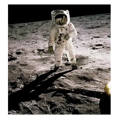 Fotográfia Buzz' Aldrin, Apollo 11, 20 July 1969