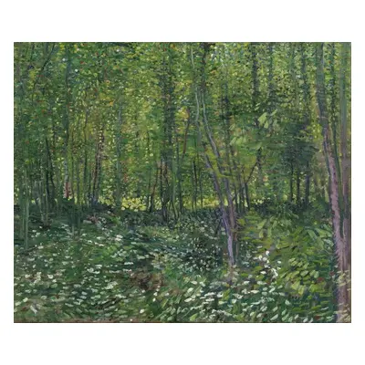 Reprodukció Trees and Undergrowth, 1887, Vincent van Gogh