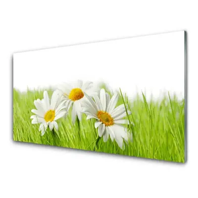 Üvegkép Daisy Flowers Plant 125x50 cm 2 fogas