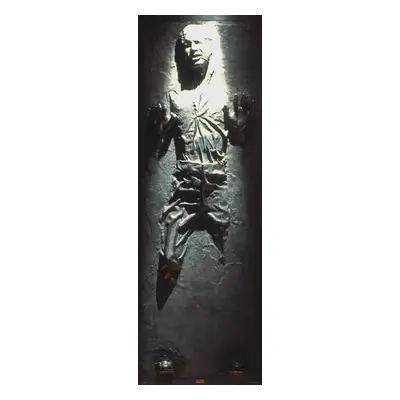 Plakát Star Wars - Han Solo in Carbonite