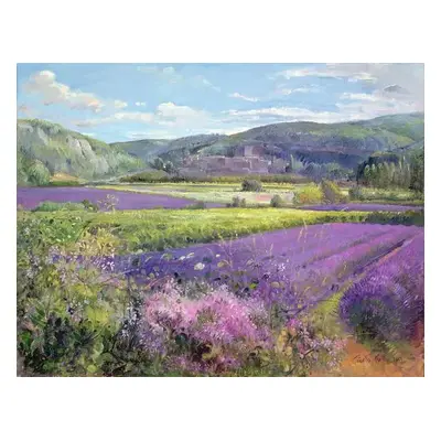 Reprodukció Lavender Fields in Old Provence, Timothy Easton