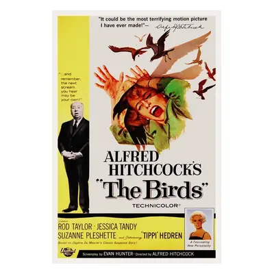 Illusztráció The Birds / Alfred Hitchcock / Tippi Hedren