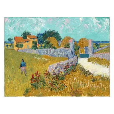 Reprodukció Farmouse in Provence (1888), Vincent van Gogh