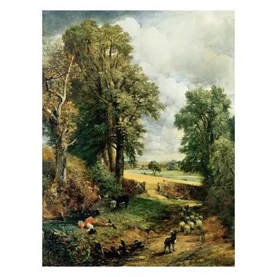 Reprodukció The Cornfield (1826), John Constable