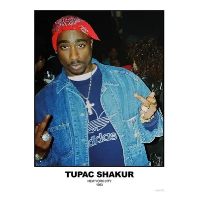 Plakát Tupac Shakur - N.Y.C 1993