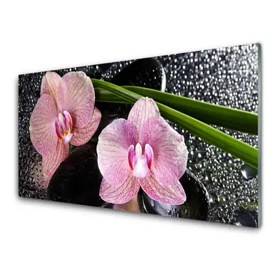 Akrilkép Orchidea virág orchidea Zen 125x50 cm 4 fogas