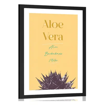 Poszter paszportuval stílusos felirattal Aloe Vera