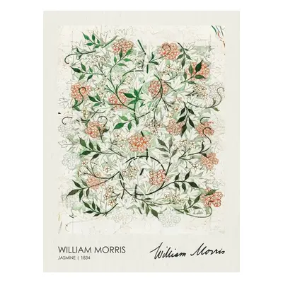 Reprodukció Jasmine (1834), William Morris