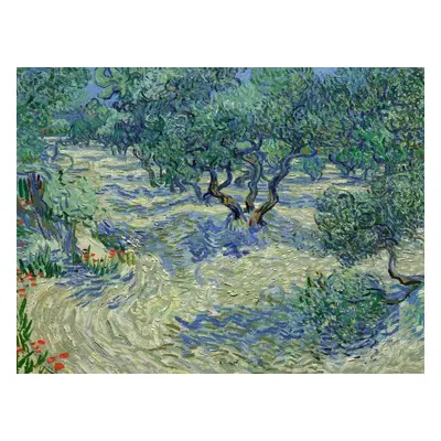 Reprodukció Olive Orchard, Vincent van Gogh