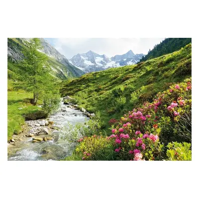 Plakát Alpy - Nature and Mountains