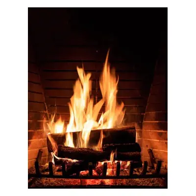 Fotográfia Fireplace burning wood logs, cozy warm home christmas time, Rawf8