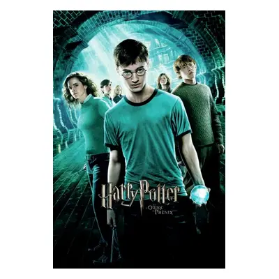 Művészi plakát Harry Potter - a Főnix Rendje