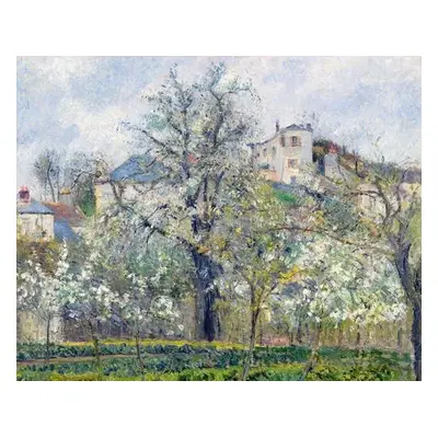 Reprodukció The Vegetable Garden with Trees in Blossom, Spring, Pontoise, Camille Pissarro