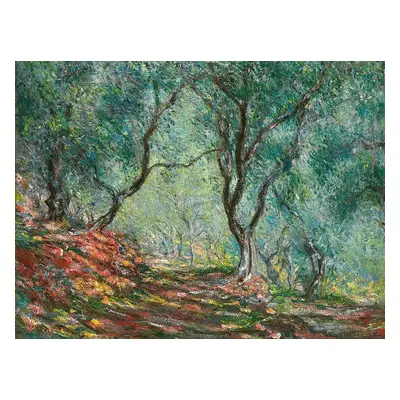 Reprodukció Olive Trees in the Moreno Garden (1884), Claude Monet